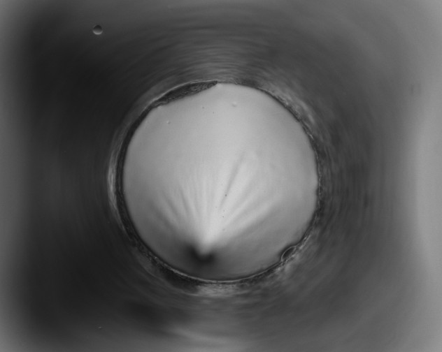 X0000087570051200705181150