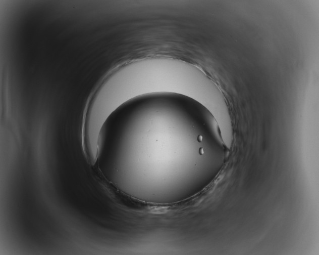 X0000087570052200705181150