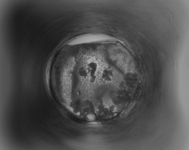 X0000087570053200705181150