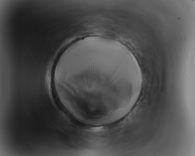 X0000087570054200705181150