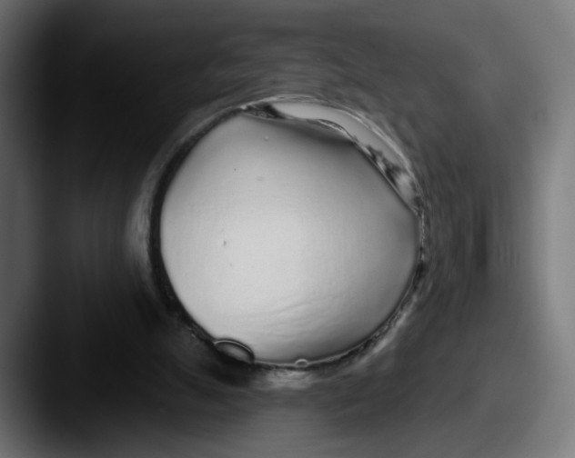 X0000087570055200705181150