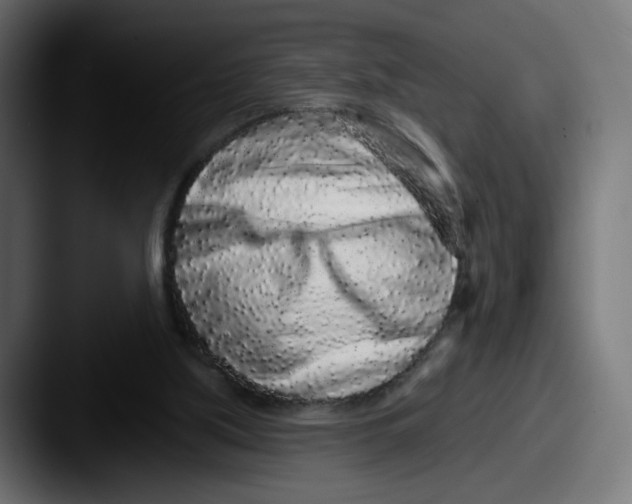 X0000087570059200705181150