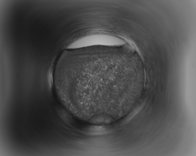 X0000087570061200705181150