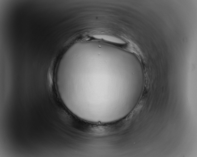 X0000087570062200705181150