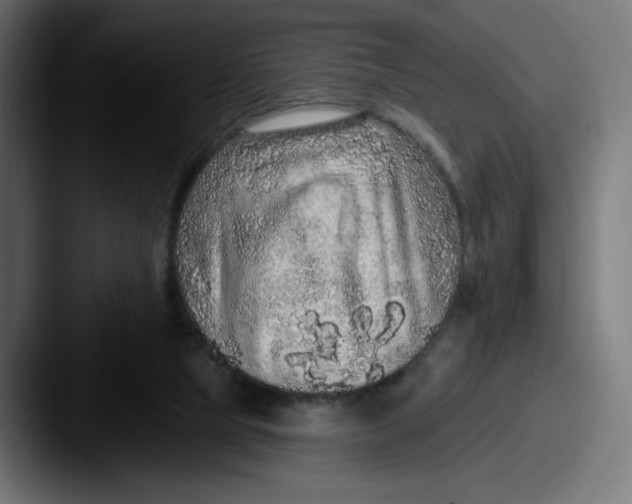 X0000087570065200705181150