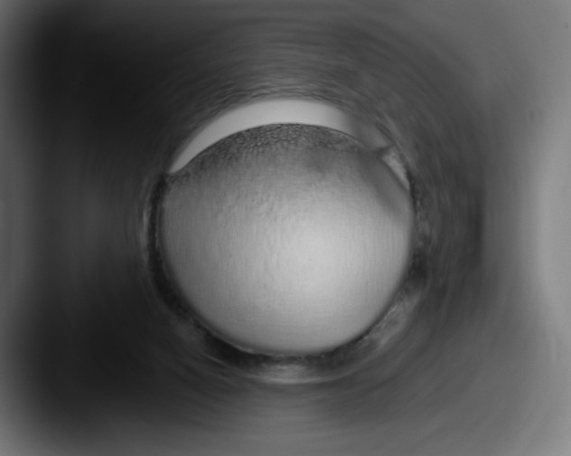 X0000087570066200705181150