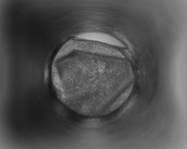 X0000087570067200705181150