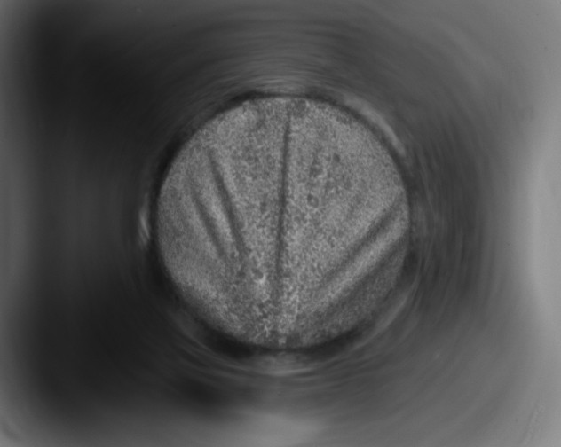 X0000087570069200705181150