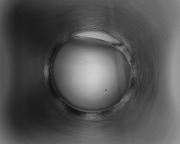 X0000087570070200705181150