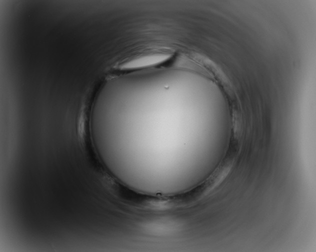 X0000087570071200705181150