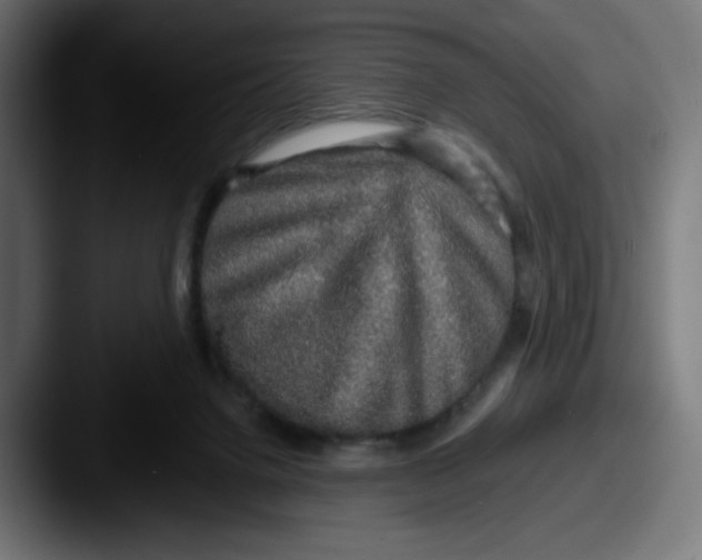 X0000087570072200705181150