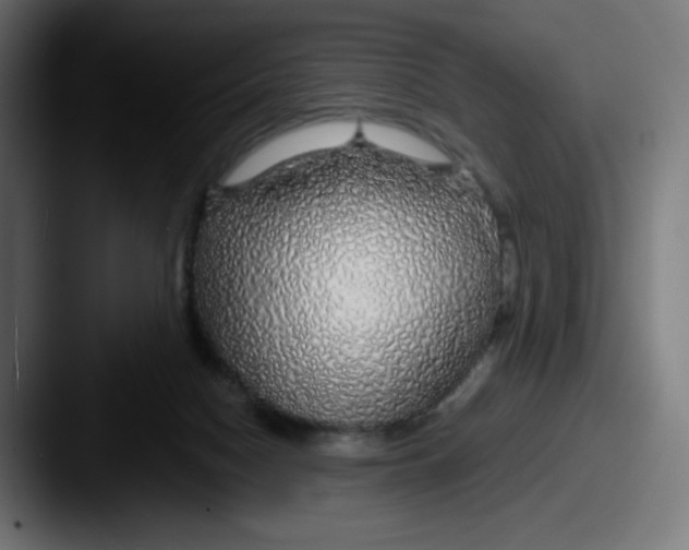 X0000087570074200705181150