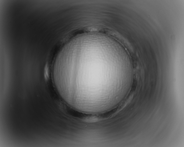 X0000087570075200705181150