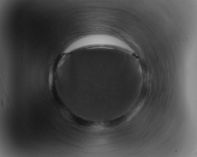 X0000087570076200705181150