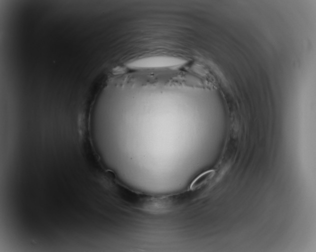 X0000087570077200705181150