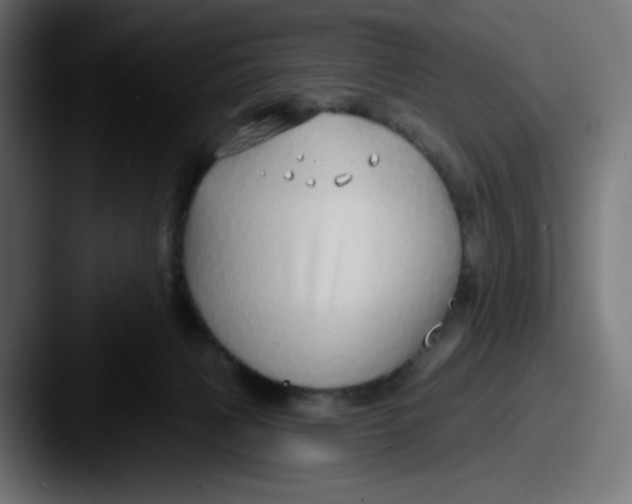 X0000087570079200705181150