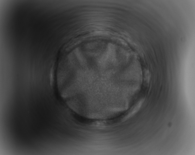 X0000087570080200705181150