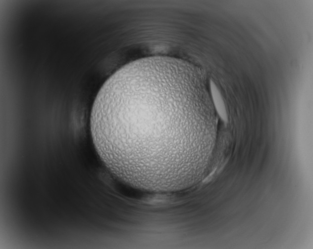 X0000087570082200705181150