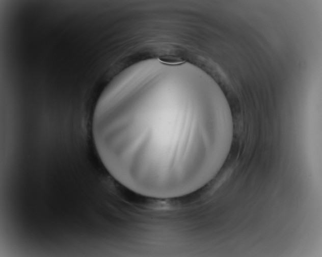 X0000087570083200705181150