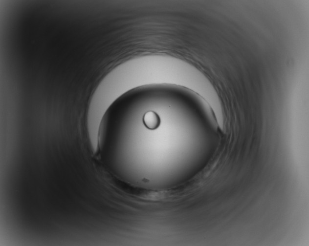 X0000087570084200705181150