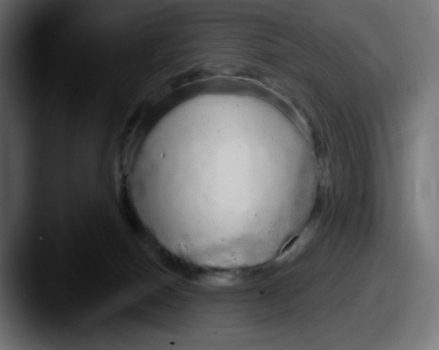 X0000087570086200705181150