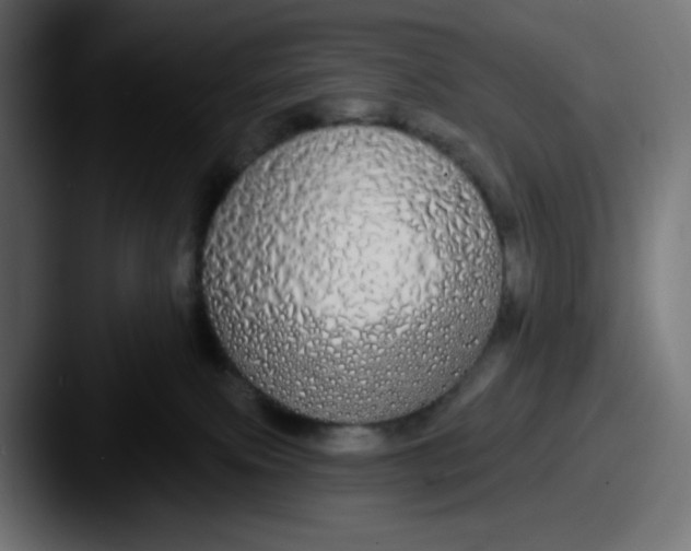 X0000087570087200705181150