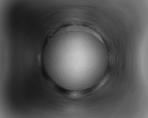 X0000087570088200705181150