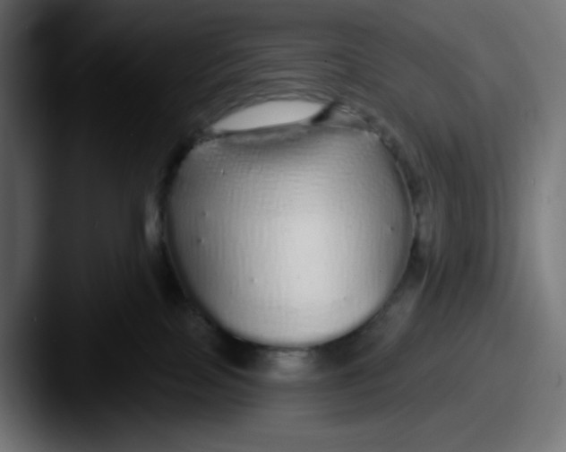 X0000087570089200705181150