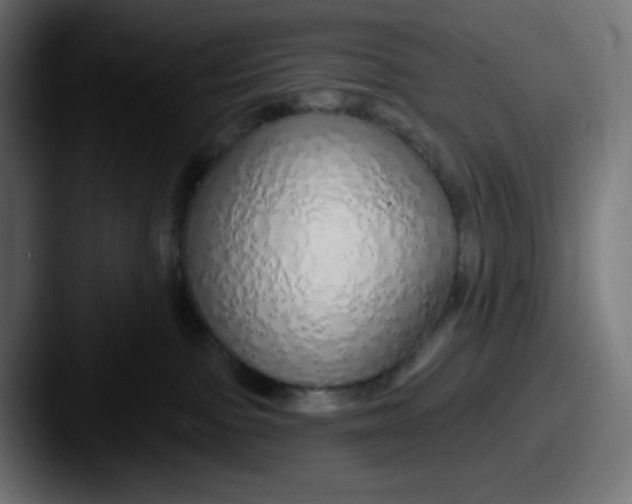 X0000087570091200705181150