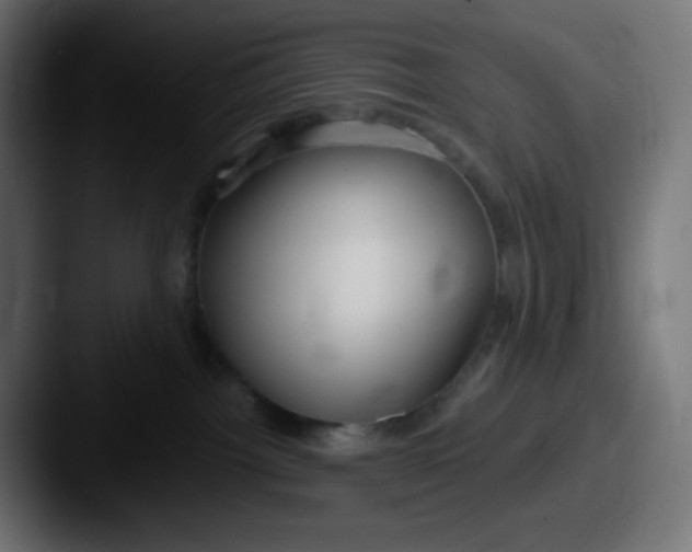 X0000087570092200705181150