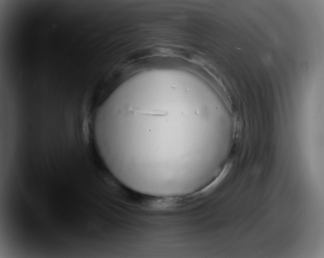 X0000087570094200705181150