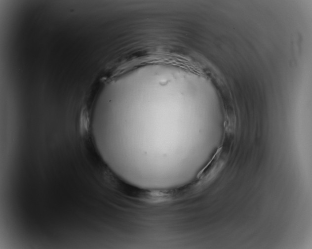 X0000087570095200705181150