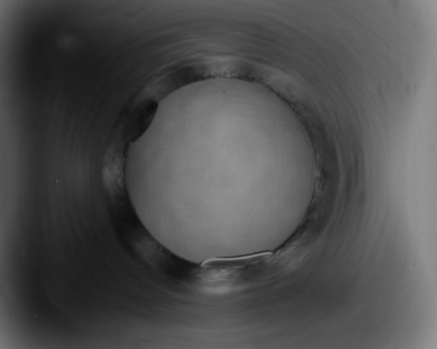 X0000087570096200705181150