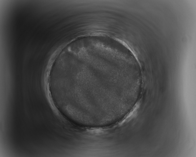 X0000087570097200705181150