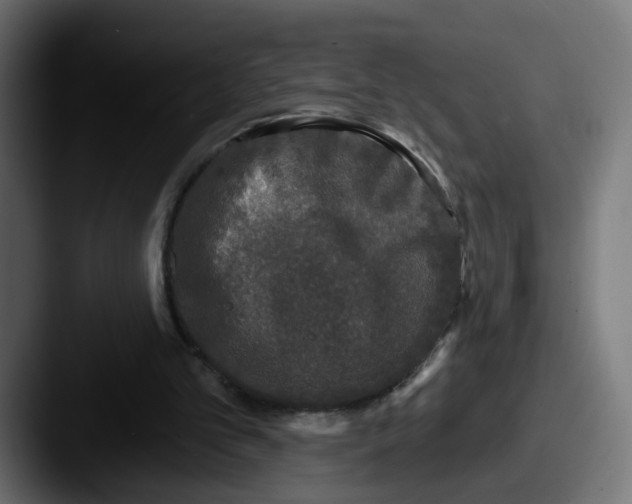 X0000087570101200705181150