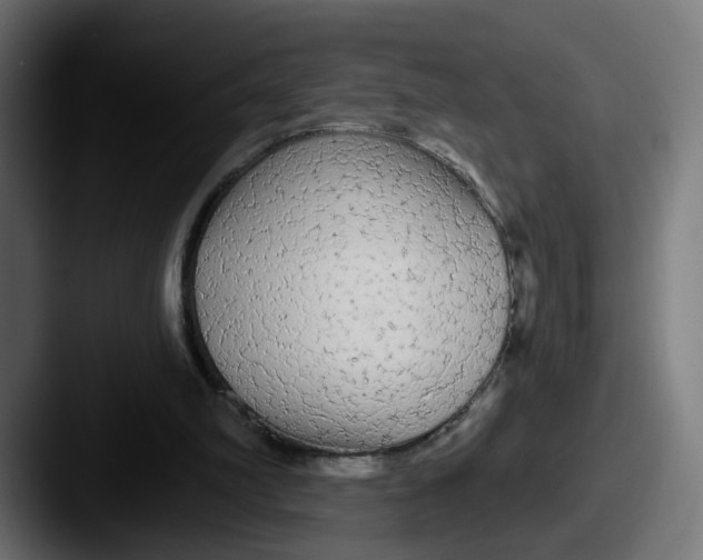 X0000087570102200705181150