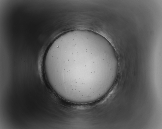 X0000087570103200705181150