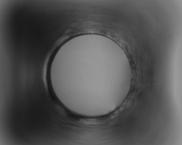 X0000087570104200705181150