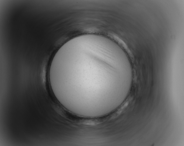 X0000087570106200705181150