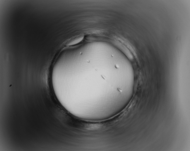 X0000087570107200705181150