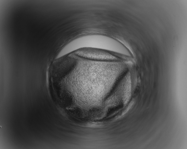 X0000087570109200705181150