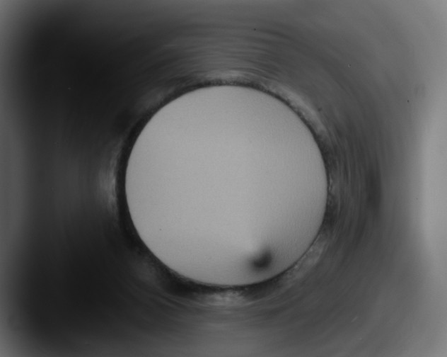 X0000087570112200705181150