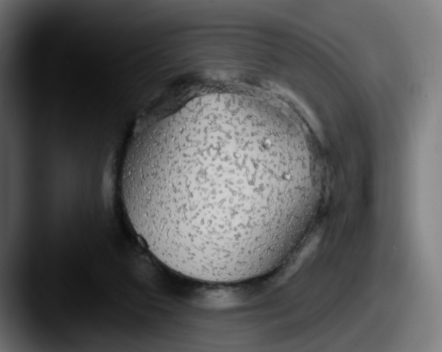 X0000087570113200705181150