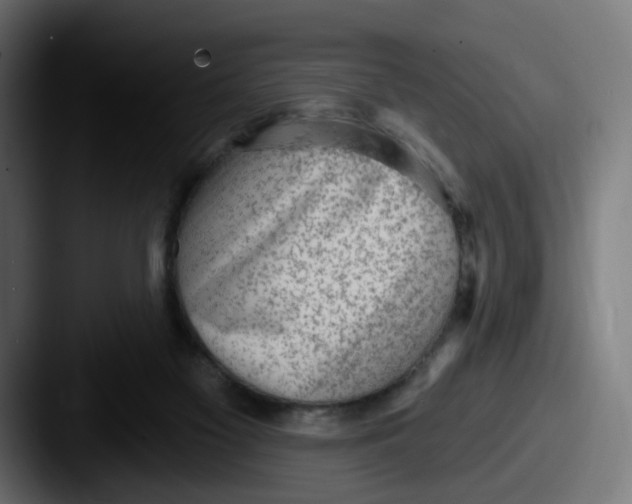 X0000087570117200705181149