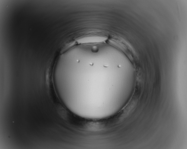 X0000087570119200705181149