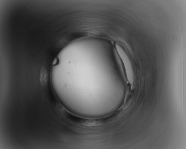 X0000087570123200705181149