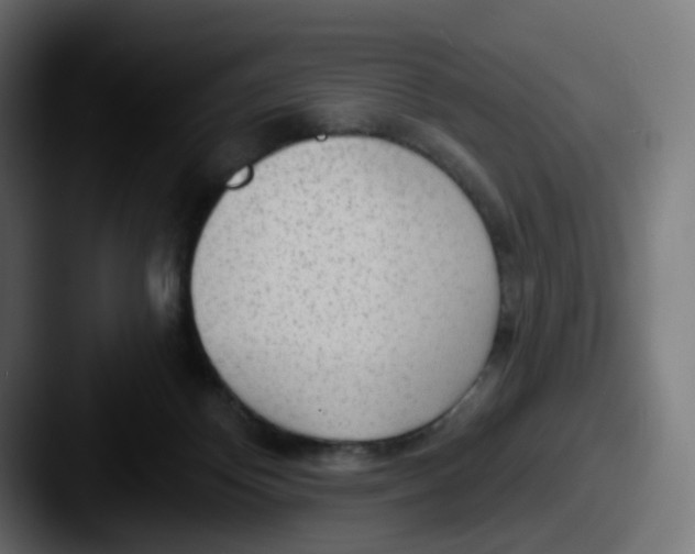 X0000087570124200705181149