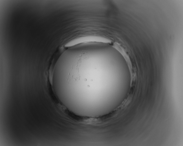 X0000087570125200705181149