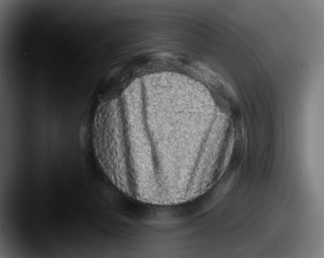 X0000087570127200705181149