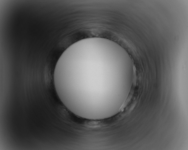 X0000087570129200705181149